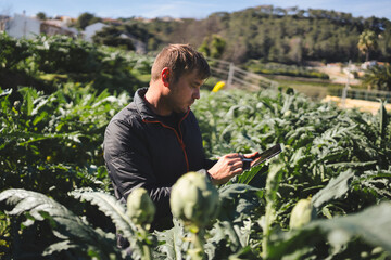 Farmer uses a digital tablet and stylus pen in an artichoke field, implementing modern technology for sustainable and ecological agricultural practices