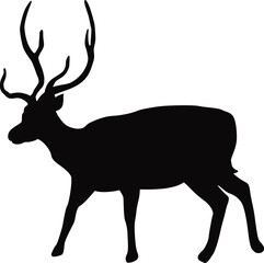 Deer Vector Illustration – Majestic Wildlife Animal in Nature