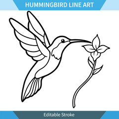 A simple line art drawing of a hummingbird feeding from a flower. Black and white vector illustration with editable stroke. Perfect for coloring pages or designs.