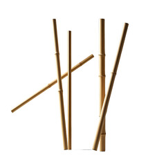 bamboo isolated on white
