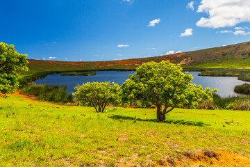 Moai at Ahu Tongariki, Easter island, Chile.