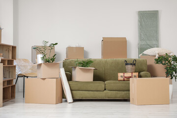 Green sofa with cardboard boxes and plants in room on moving day
