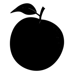 vector illustration of Pear  Fruit