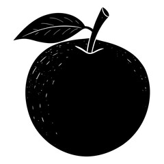 vector illustration of Pear  Fruit