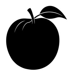 vector illustration of Pear  Fruit