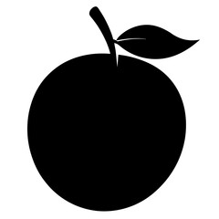vector illustration of Pear  Fruit