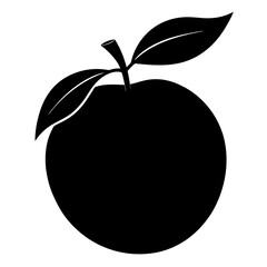 vector illustration of Pear  Fruit