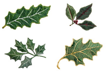 Vibrant holiday holly leaves nature botanical illustrations seasonal decor flat lay greenery aesthetics