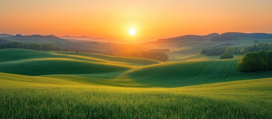 Obraz premium Sunrise over rolling green fields