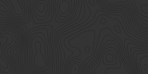 Abstract Contour Mapping Featuring Fluid Wave Curves, Elevation Lines, and Seamless Topographic Patterns for a Modern Cartography Style
