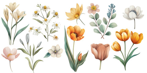 Elegant PNG set with watercolor flowers. Perfect for collages, prints, cards, invitations, web design and decorative projects.