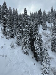 Winter Wonderland - Snowy Alpine Landscape