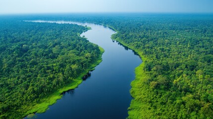 Naklejka premium River flows through green forest. Aerial view of jungle and water. Nature background. Landscape shot of trees. Calm water reflecting sky.