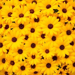 Fototapeta premium Vibrant yellow sunflowers, close-up floral pattern, dense arrangement