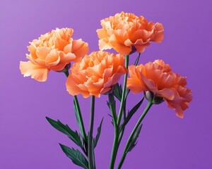A vibrant orange carnation flower pattern on a solid purple background, creating a bold orange and purple color theme.