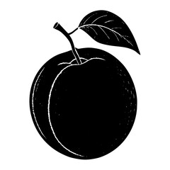 vector illustration of Apricot
