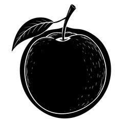 vector illustration of Apricot