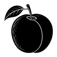 vector illustration of Apricot