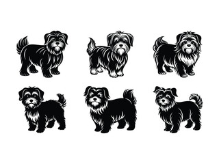 Obraz premium Fluffy pet dog illustrations silhouette isolated on white background