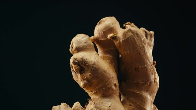 Ginger root and sliced on old plank with nature background. Close-up, food texture, tea lemonade ingredient in bar.