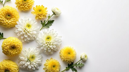 Fototapeta premium Eco-Friendly Chrysanthemum Blooms: Flat Lay Stock Photo with Copy Space