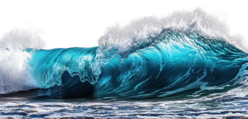 Big sea or ocean wave with spray, foam on crest and reflection on transparent background