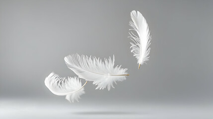 Obraz premium Three Weightless White Feathers Gently Floating Against A Soft Gray Backdrop In A Studio Setting Capturing Their Delicate Airy Nature
