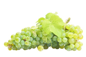 Green grapes isolated on white