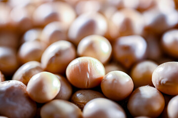 Close-up of soya beans