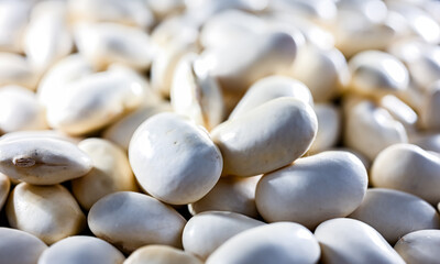 Close-up of kidney beans