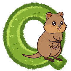 Fototapeta premium Q is for Quokka, Letter Q, Cartoon animal alphabet.