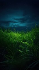 Low Angle Shot Lush Green Grass Field Under Starry Night Sky, Tranquil Nature, Serene Landscape, Night Photography.