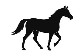 Horse Silhouette Vector Illustration Elegant Equine Graphics for Creative Designs
