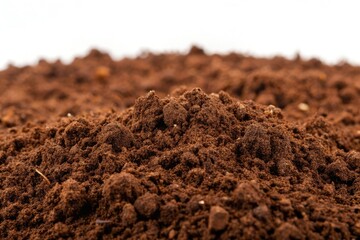 High-resolution image of dry, brown soil. Earthy tones dominate this natural dirt background.