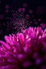 Obraz premium Close-up of vibrant purple flower with water droplets
