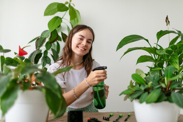 Young slim woman in white t-shirt watering houseplants in stylish living room.