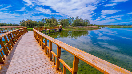 Tablas de Daimiel National Park, Daimiel, Ciudad Real, Castilla La Mancha, Spain, Europe