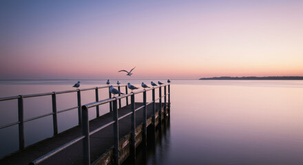 Seagulls rest on a narrow pier extending into a calm pastel-colored sea, with one bird gracefully taking flight at sunrise.