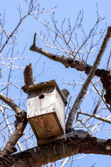 公園の木に架けられた鳥の巣箱