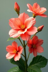 Obraz premium A vibrant cluster of coral-colored blossoms, showcasing delicate petals and a captivating central bloom, elegantly arranged on a slender stem with lush green foliage.