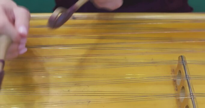 Skilled musician playing traditional hammered dulcimer instrument