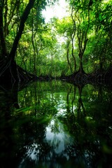 Obraz premium Lush tropical forest reflecting in still water