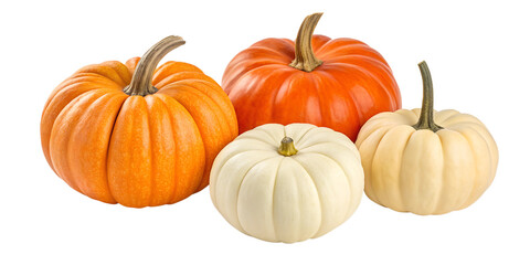 set of fresh pumpkins isolated on white background.png
