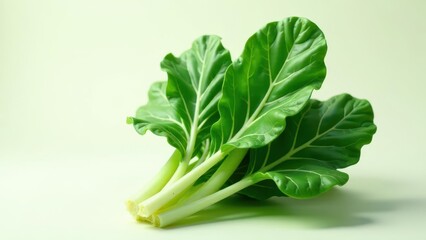 Fresh vibrant chard leaves, a healthy and delicious addition to any meal, showcasing their bright green color and delicate texture against a soft background.