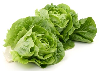 Obraz premium Fresh Crisp Lettuce – Vibrant Green Beauty on White Background