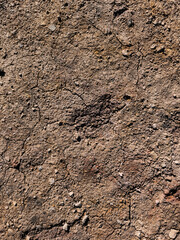 Dry cracked earth texture showing severe drought conditions in prague copy space wallpapper