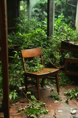 Abandoned room overgrown with lush greenery