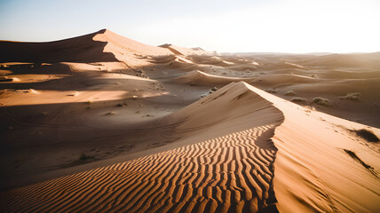 Fototapeta na wymiar A desolate, sunlit desert with the light casting long shadows on the sand dunes.