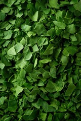 Obraz premium Close-up of chopped green leaves