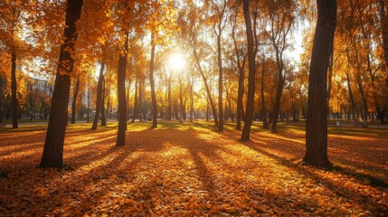 Fototapeta premium Autumn park bathed in golden sunlight